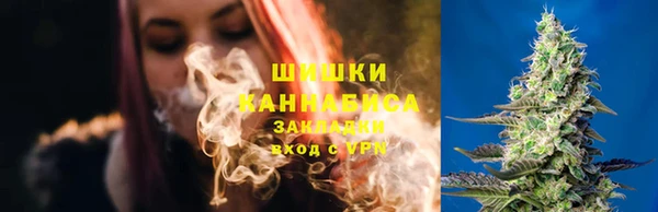дурь Новозыбков