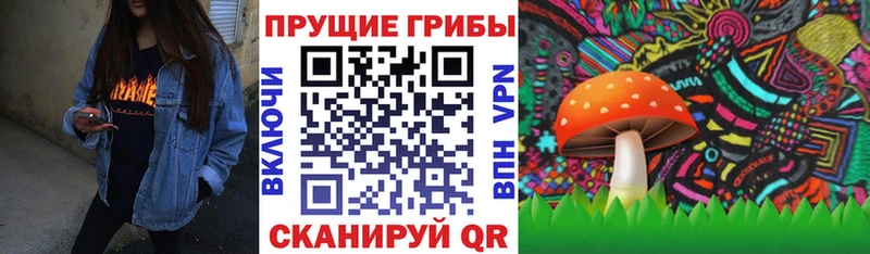 mega ТОР Александровск Псилоцибиновые грибы MAGIC MUSHROOMS